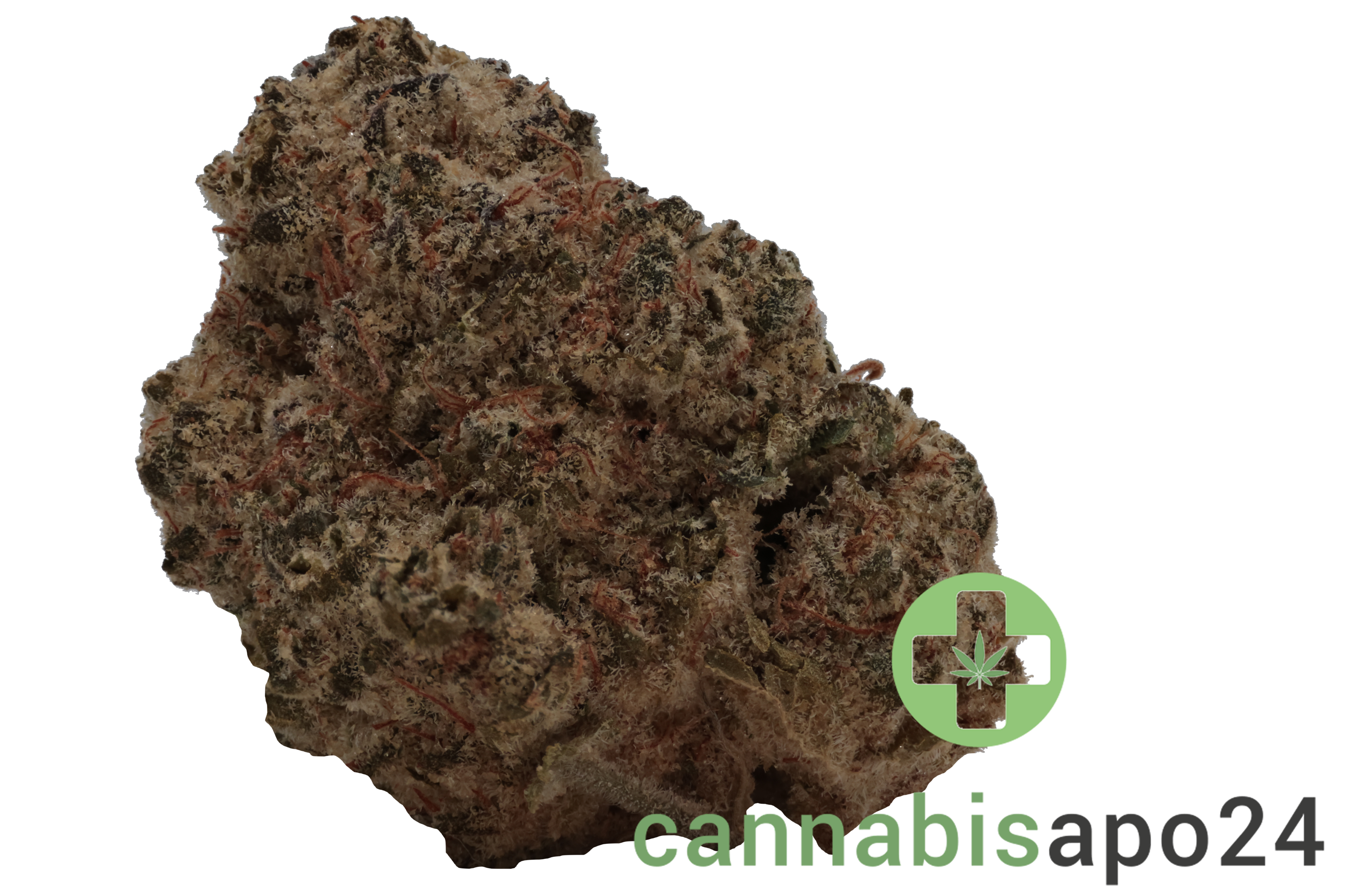 Slouu 29/1 EG CA Pineapple God