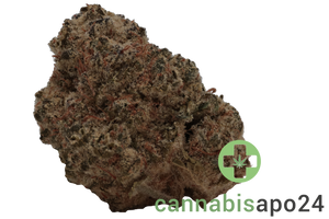 Slouu 29/1 EG CA Pineapple God