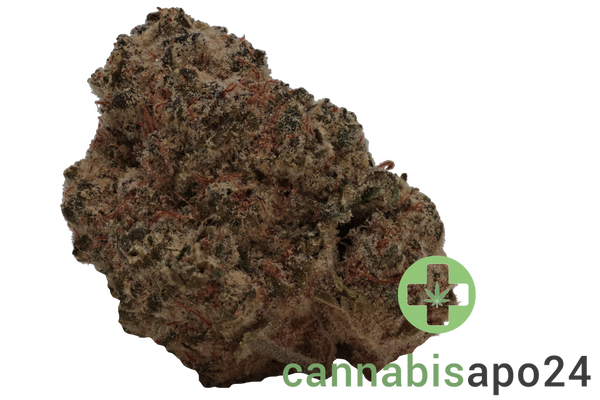 Slouu 29/1 EG CA Pineapple God