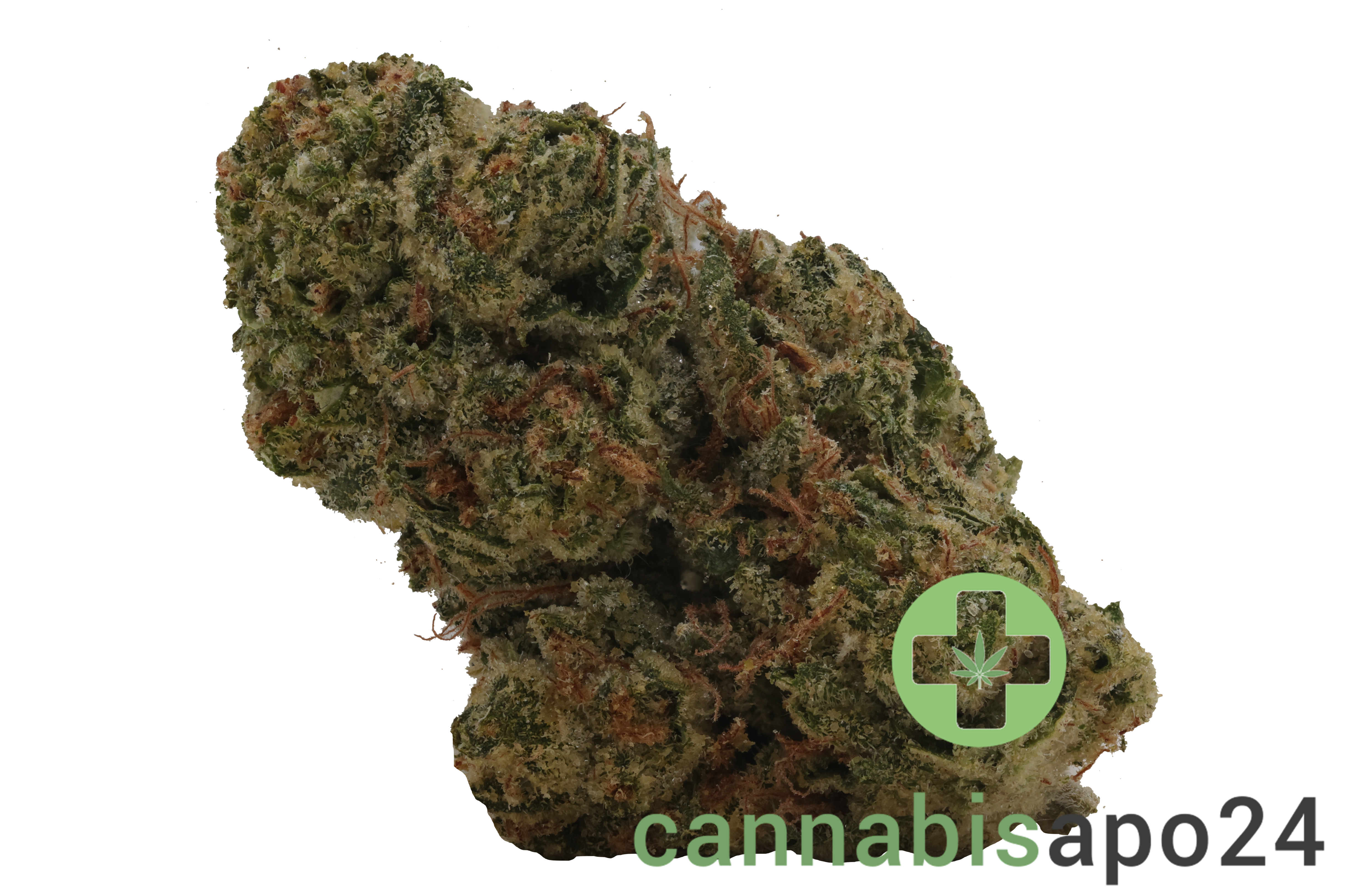 slouu 30/1 CBC CA Citron Biker Cookies
