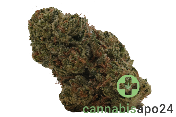 slouu 30/1 CBC CA Citron Biker Cookies
