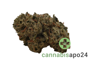 Slouu 30/1 CDO Chem Dawg OG