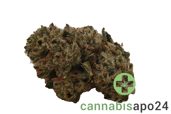 Slouu 30/1 CDO Chem Dawg OG