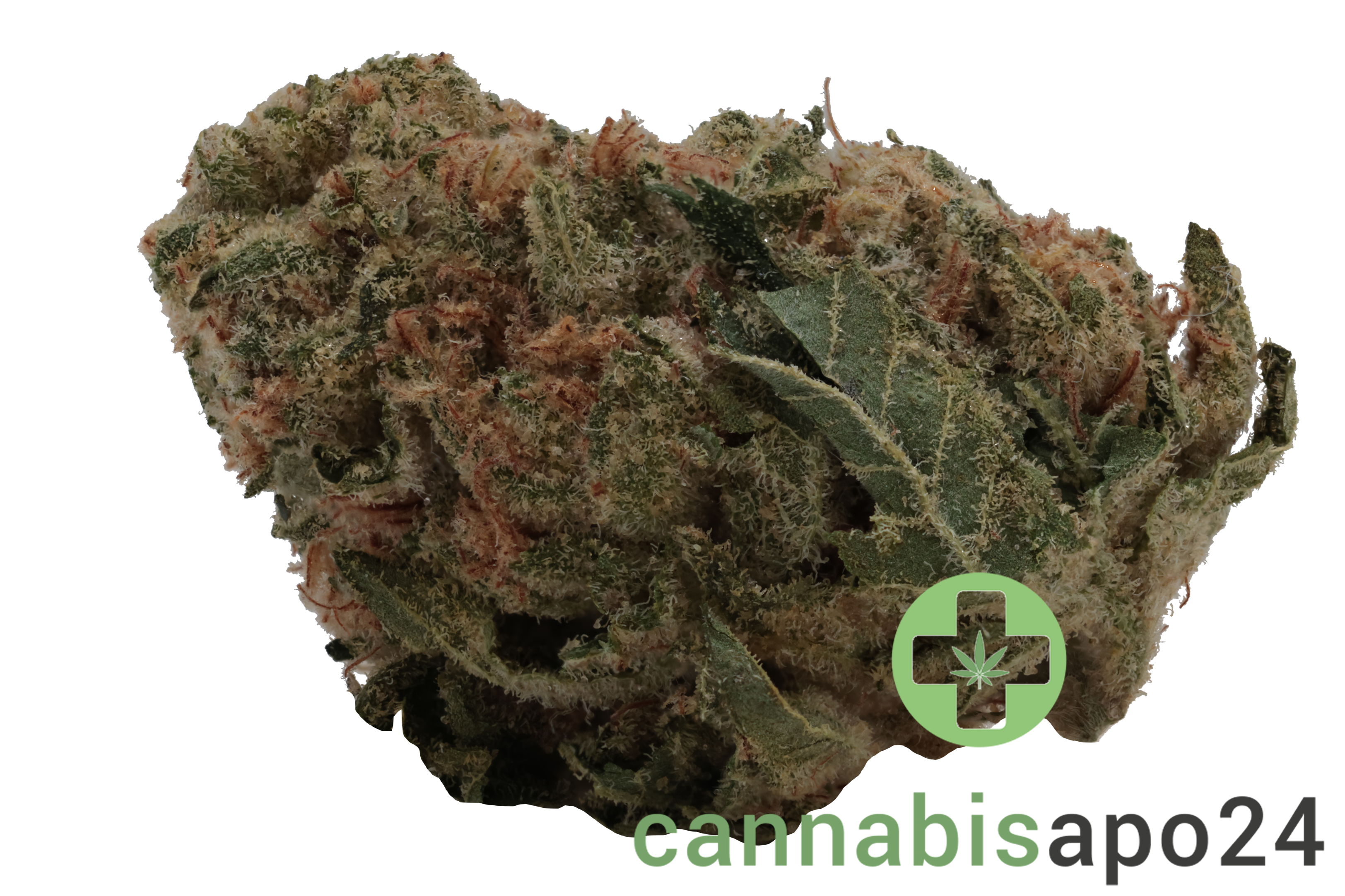 Slouu 30/1 GLZ CA Garlic Z