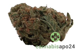 Slouu 30/1 GLZ CA Garlic Z