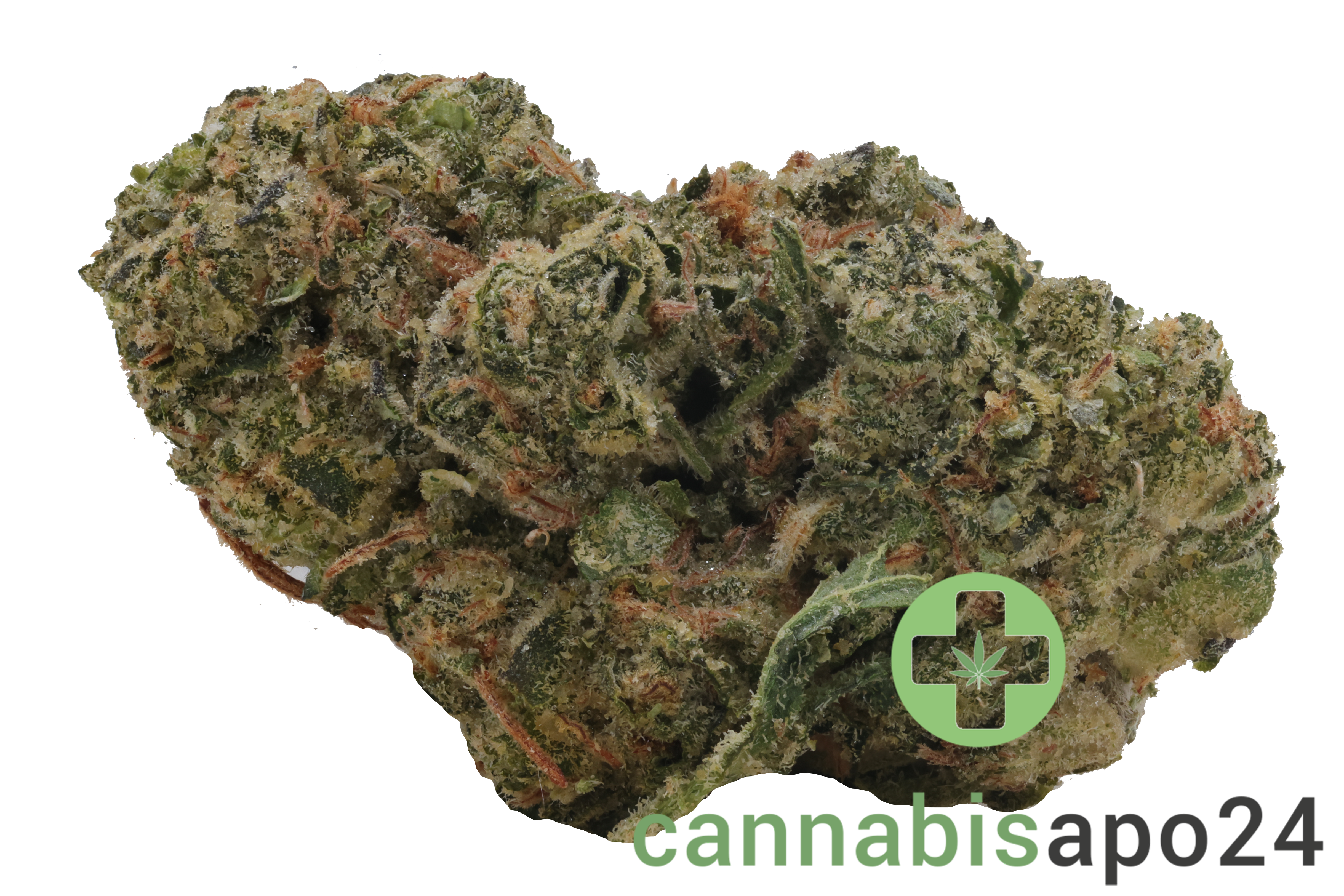 slouu 33/1 COZ CA Cookies OZ