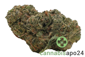 slouu 33/1 COZ CA Cookies OZ