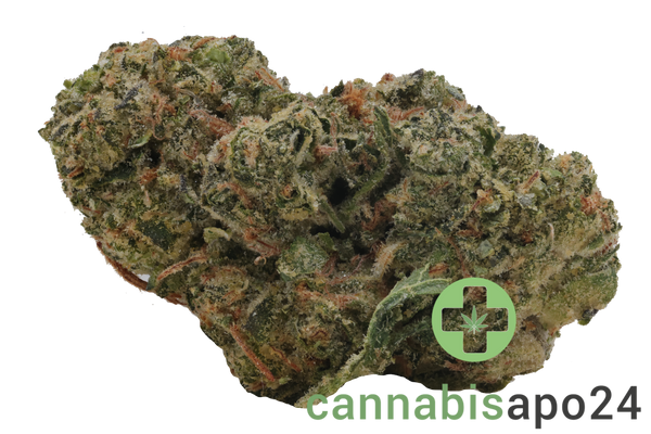 slouu 33/1 COZ CA Cookies OZ