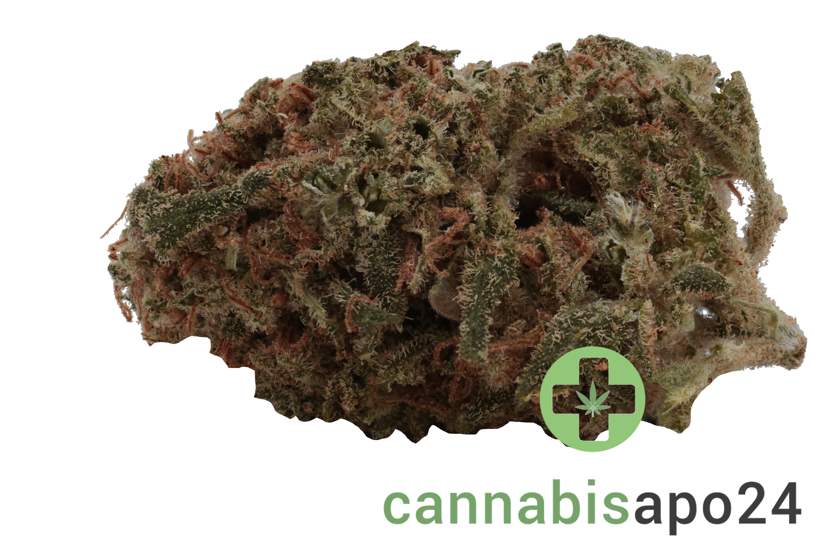 Social Choice! 18/1 MCP GMO