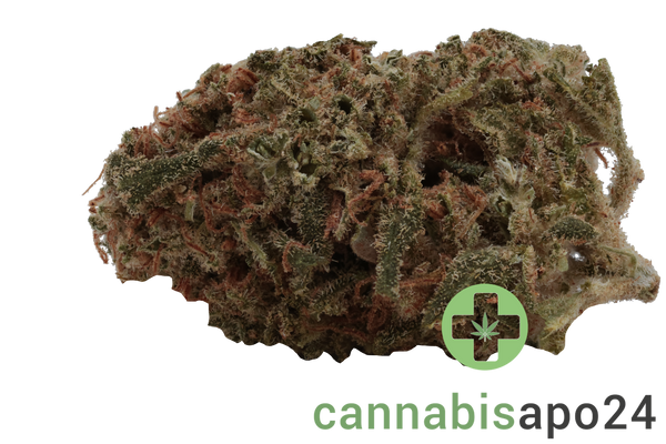 Social Choice! 18/1 MCP GMO