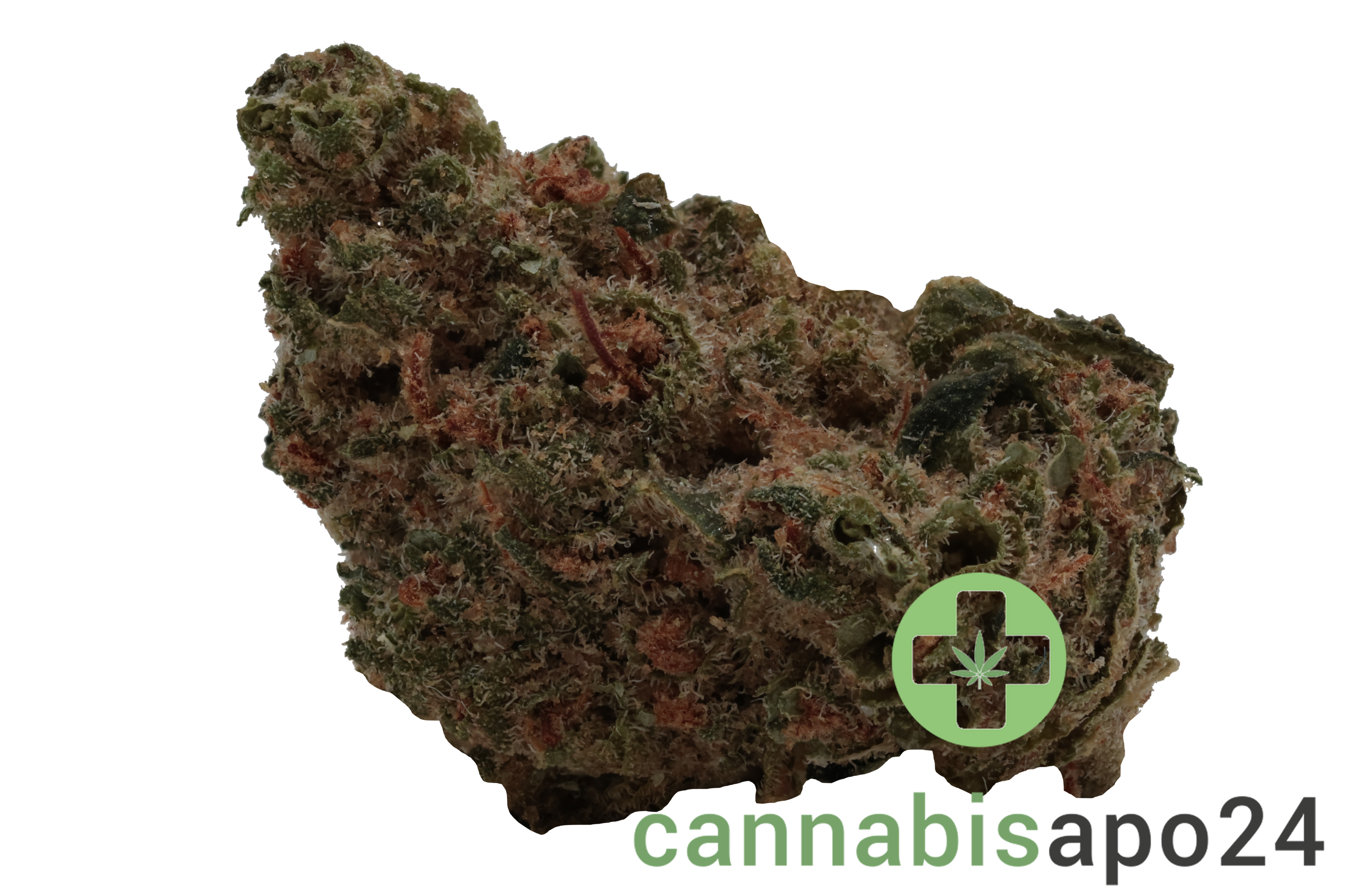 Social Choice! 18/1 SEN GTH Ghost Train Haze