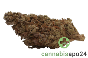 Soma OG 30/1 BCP Black Cherry Punch