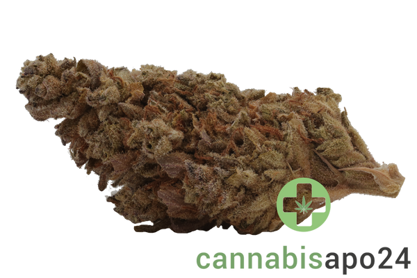 Soma OG 30/1 BCP Black Cherry Punch