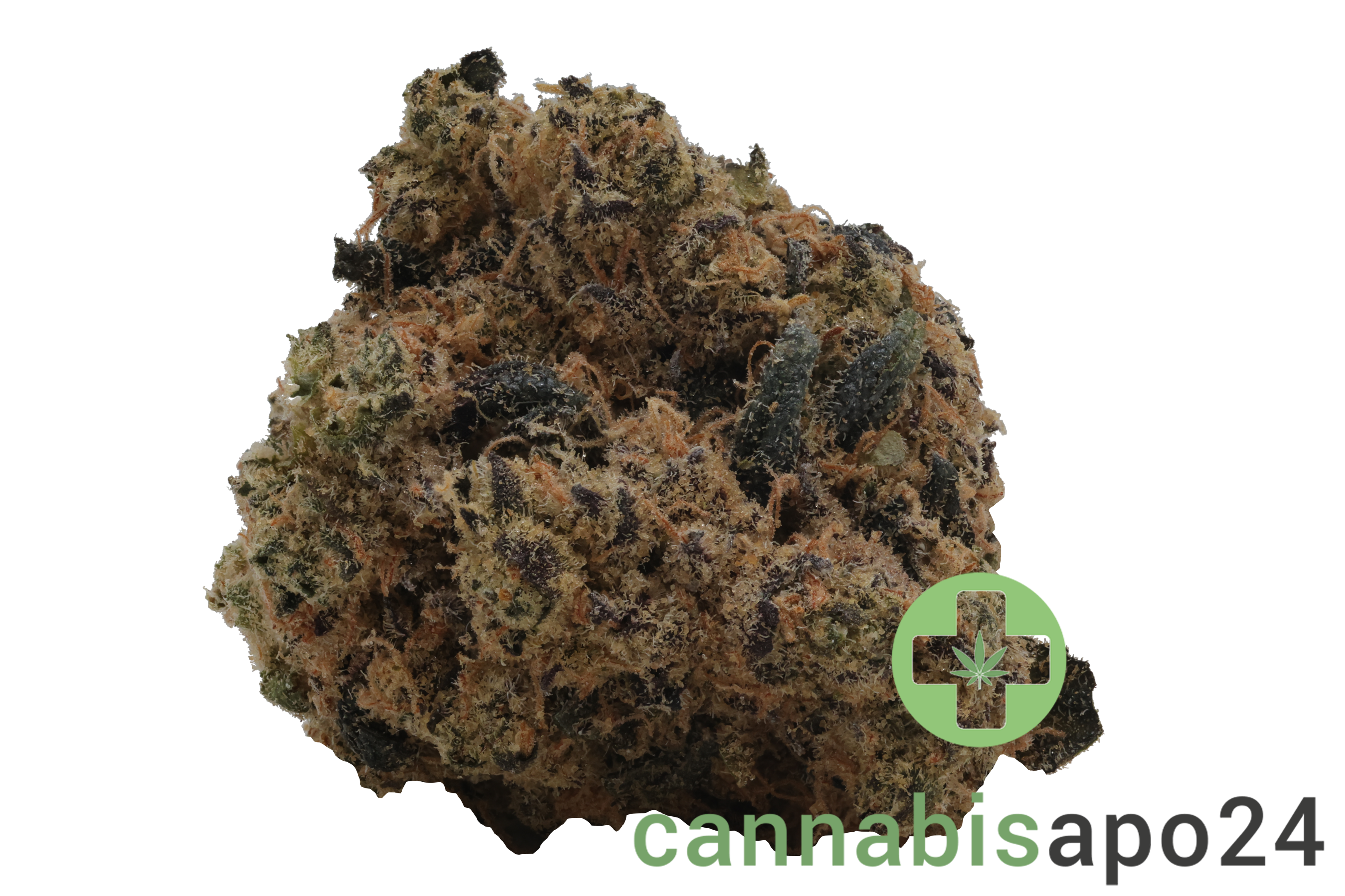 Soma OG 32/1 PF Spritzer