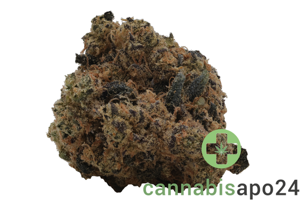 Soma OG 32/1 PF Spritzer