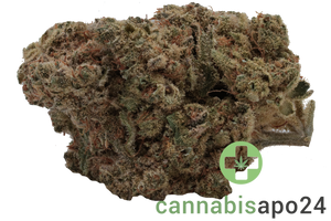 Cannamedical Indica Forte BC Tangerine Boost