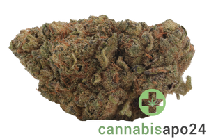 THC Akut FB 24 KM Kush Mintz