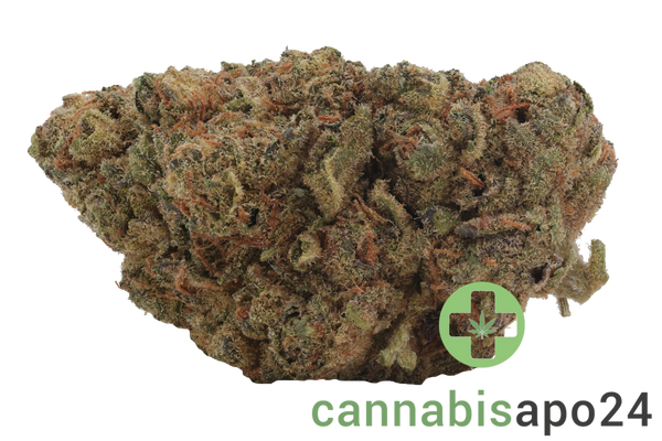 THC Akut FB 24 KM Kush Mintz