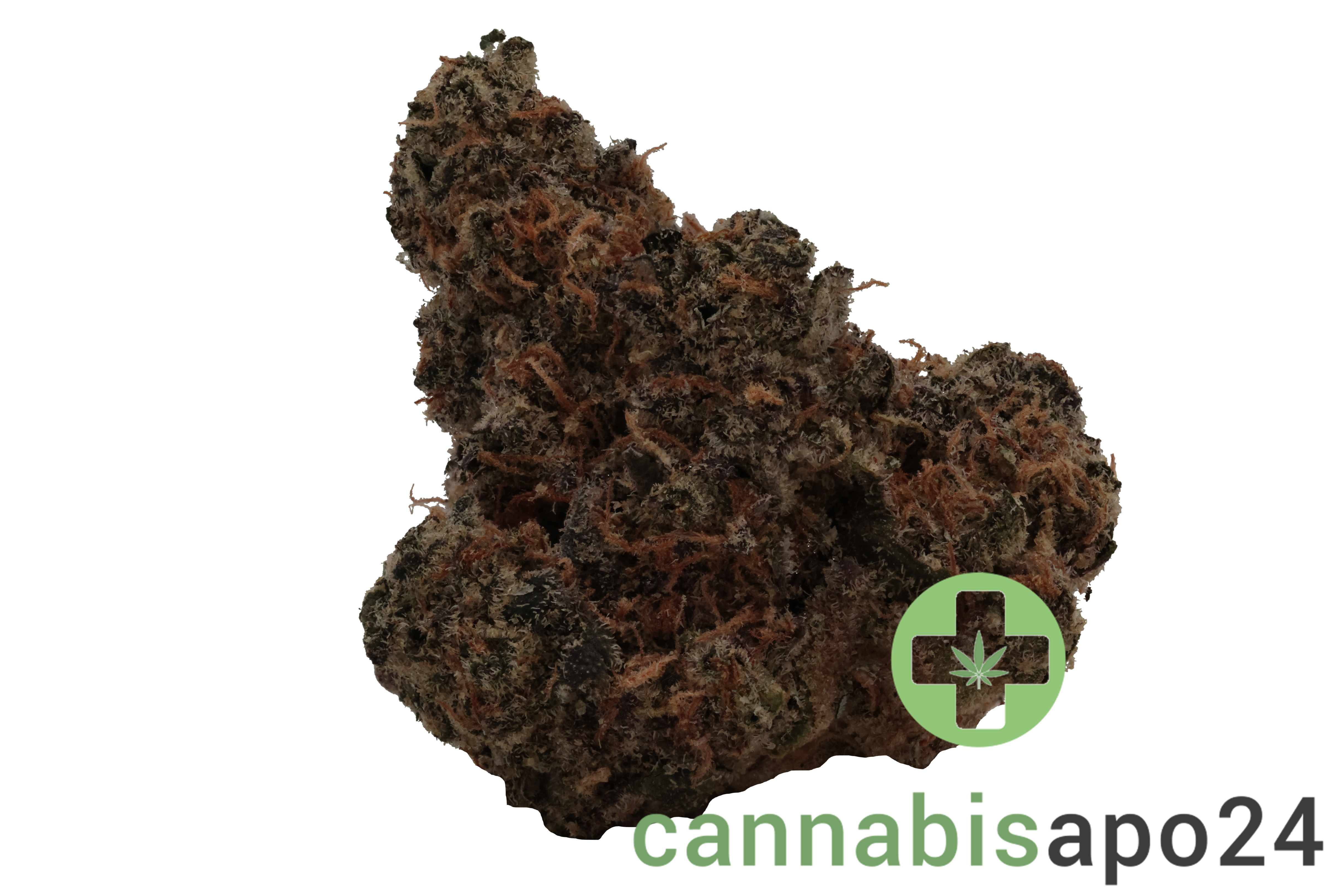 THC Akut FB 25 GP Gary Payton