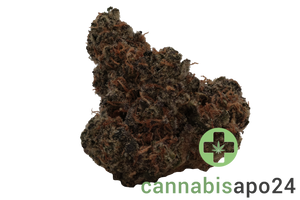 THC Akut FB 25 GP Gary Payton