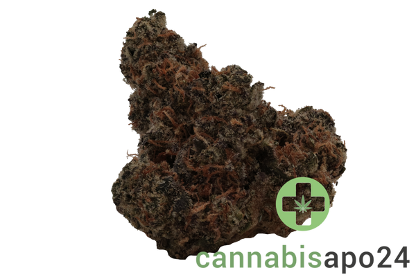 THC Akut FB 25 GP Gary Payton