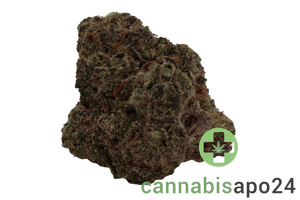 THC Akut FB 25 KM Kush Mintz