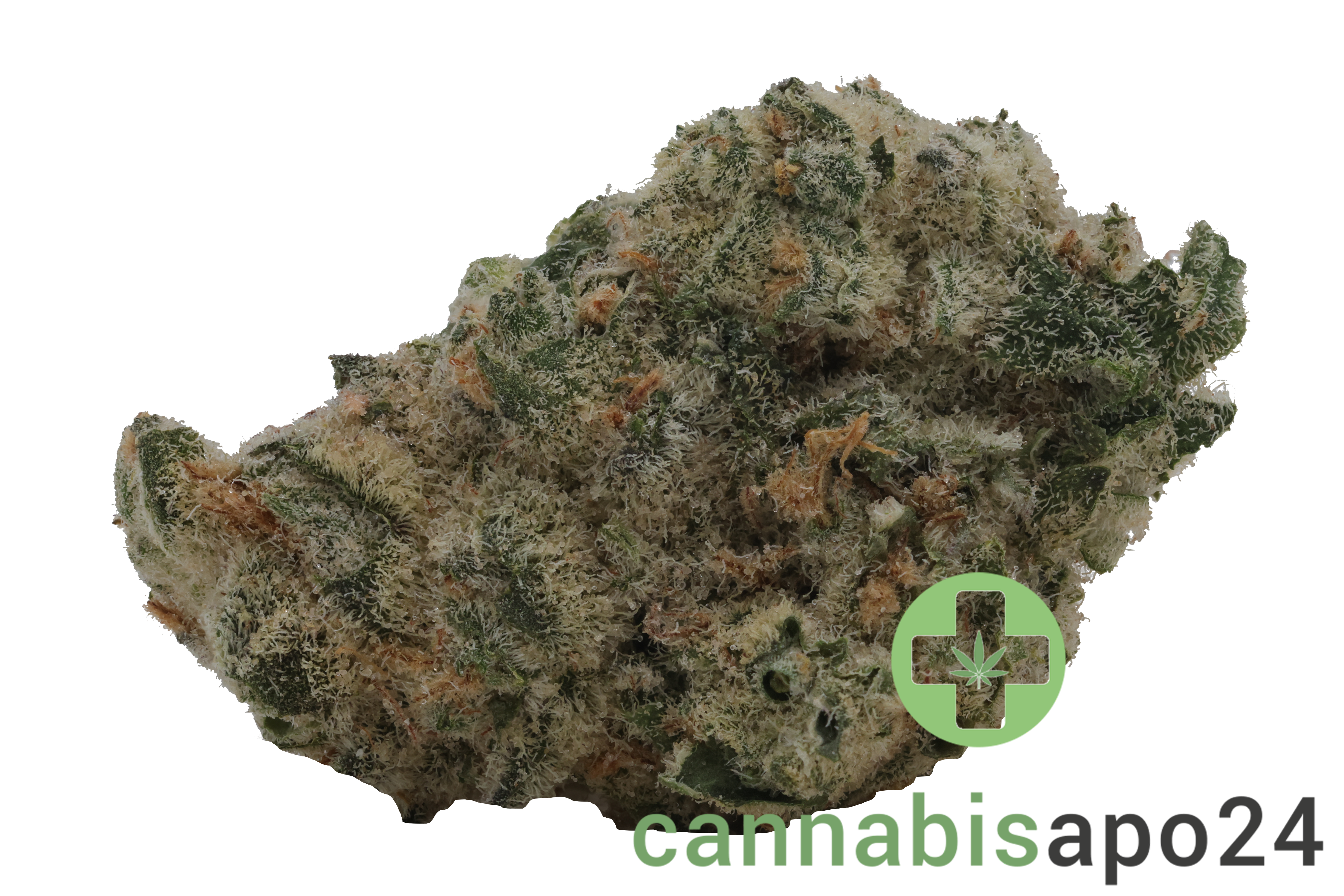 THC Akut MG 24 BCP Black Cherry Punch