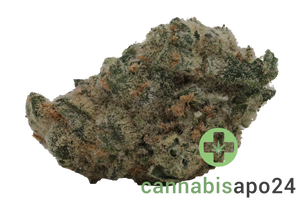THC Akut MG 24 BCP Black Cherry Punch
