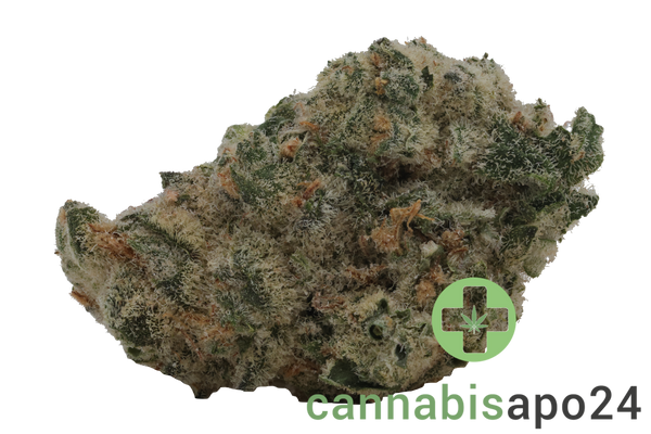 THC Akut MG 24 BCP Black Cherry Punch