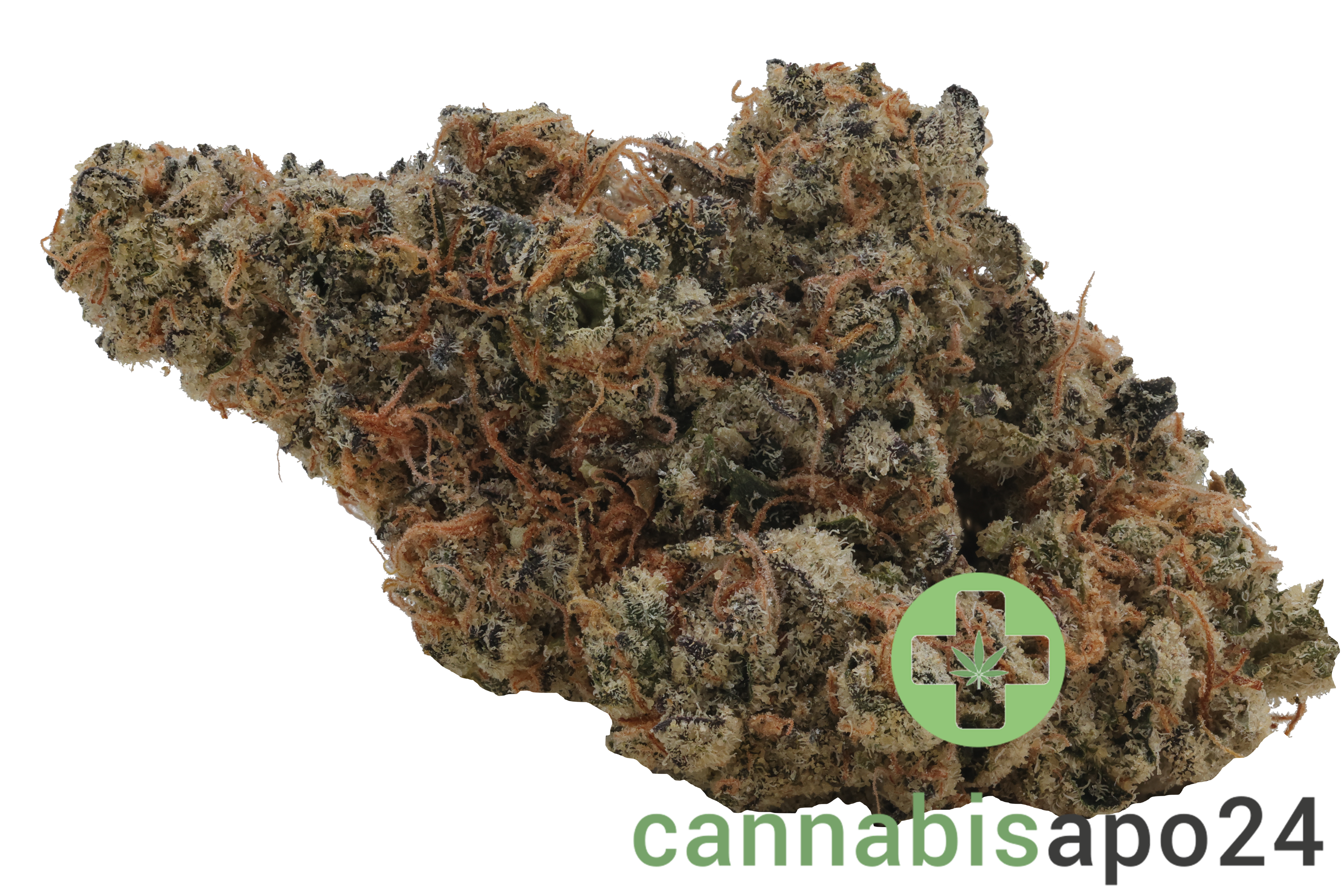 THC Akut OHS 25 SF Sherb Fritter