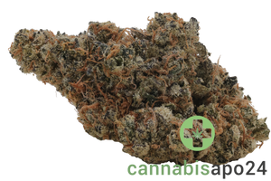THC Akut OHS 25 SF Sherb Fritter