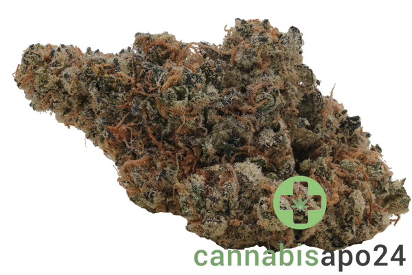 THC Akut OHS 25 SF Sherb Fritter