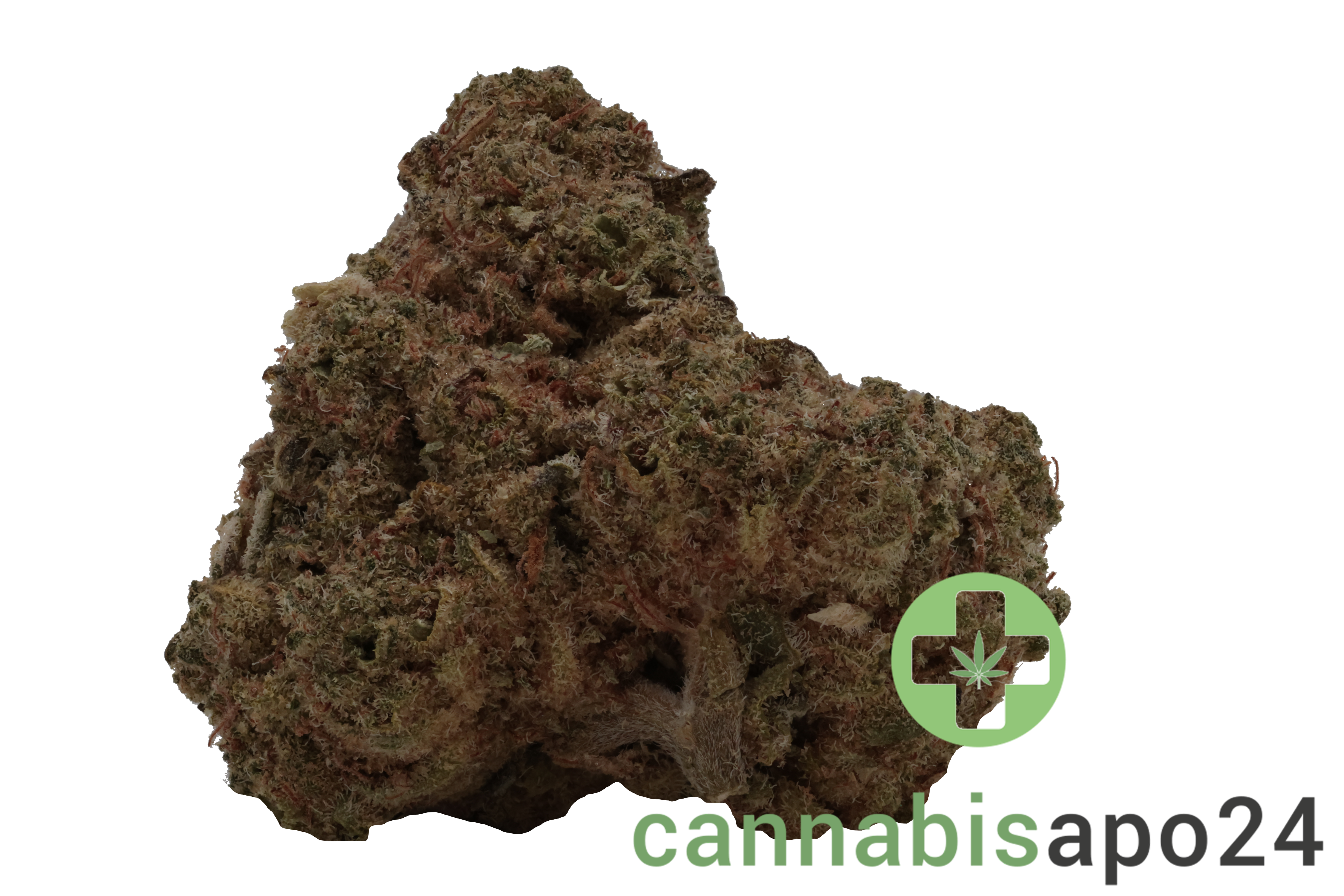 THC Akut 24 RB Rainbow Belts