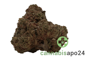 THC Akut 24 RB Rainbow Belts