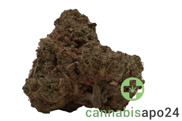 THC Akut 24 RB Rainbow Belts