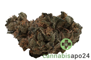 Tilray Craft THC22 SNS Sunset Sherbet