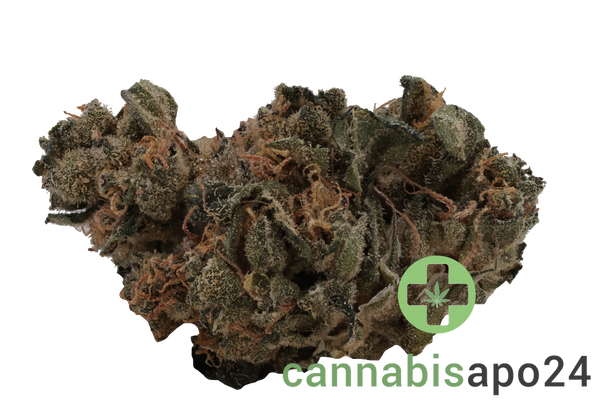 Tilray Craft THC22 SNS Sunset Sherbet