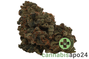 Tilray Craft THC28 AMH Amnesia Haze