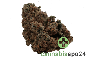 Tilray Craft THC28 Cactus Breath