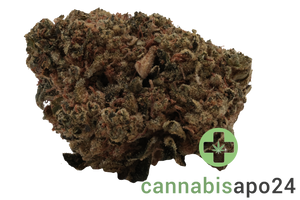 Tilray Craft THC25 BCR Beach Crasher