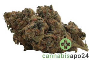 IMC Mids TC THC25 Tropic Candy