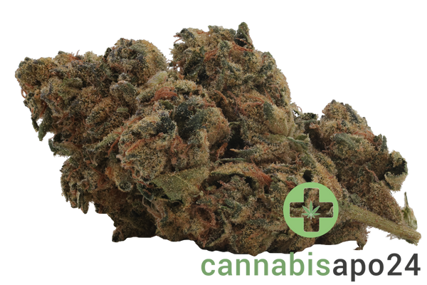 IMC Mids TC THC25 Tropic Candy