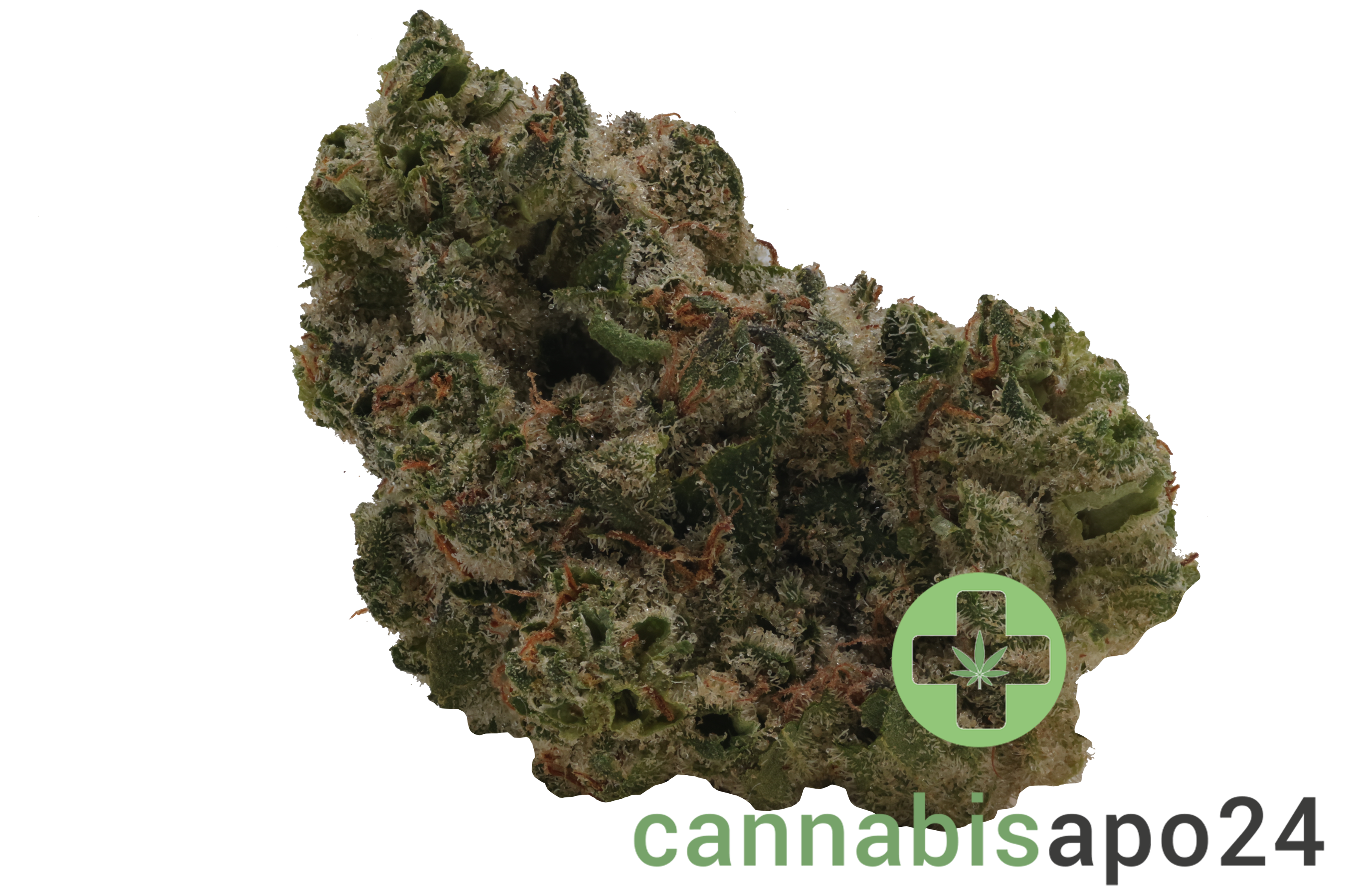 TRUU GT 27:01 Crumbled Lime 27