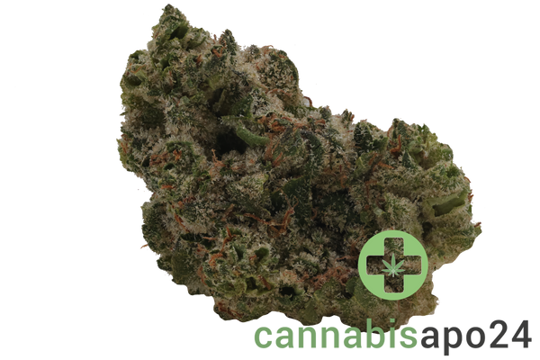 TRUU GT 27:01 Crumbled Lime 27