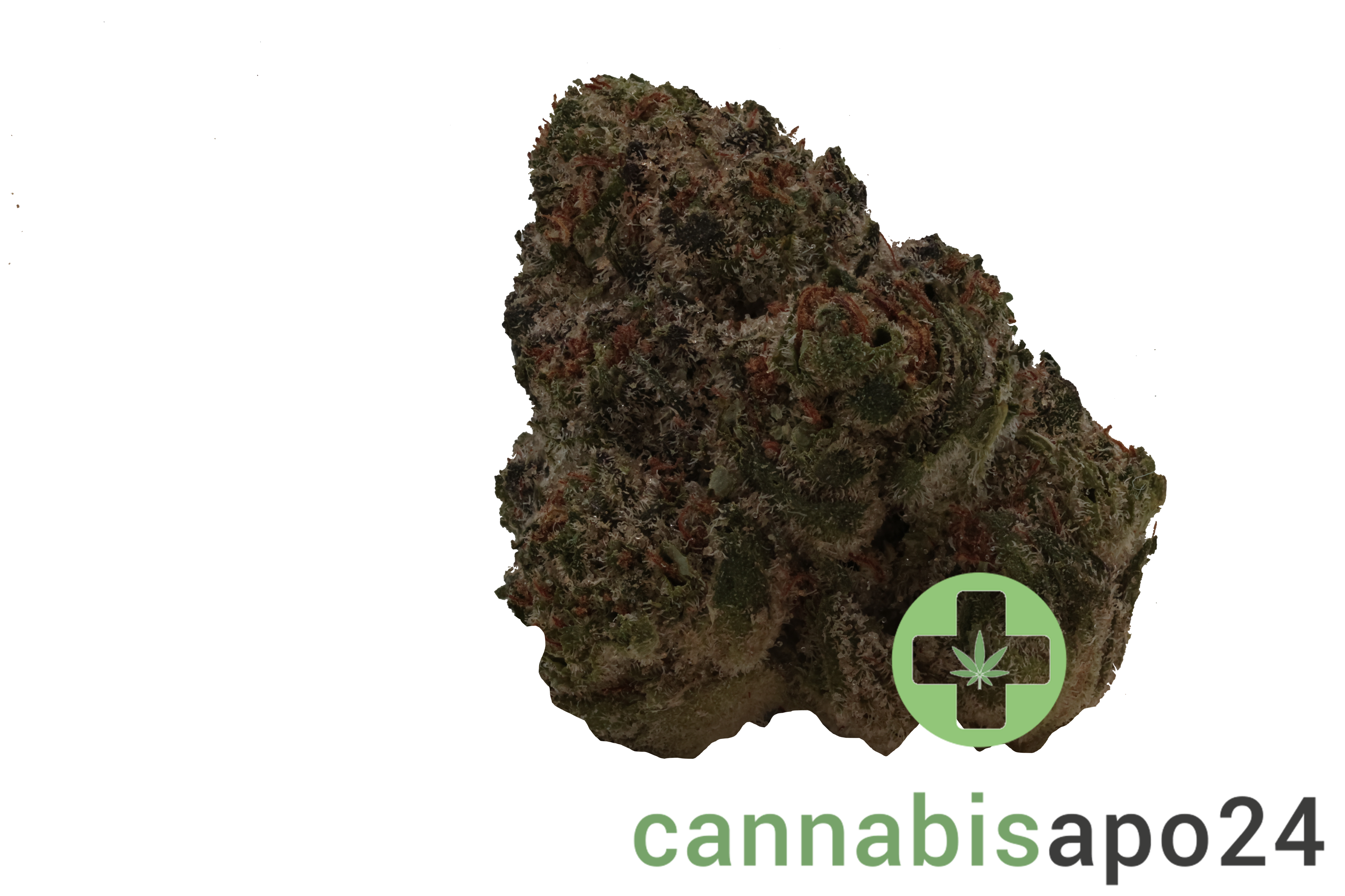 TRUU GT 22:01 Crumble Lime