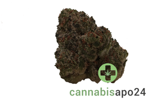 TRUU GT 22:01 Crumble Lime