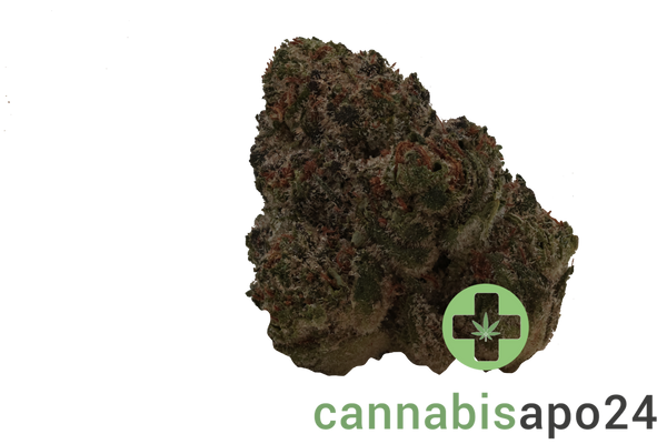 TRUU GT 22:01 Crumble Lime