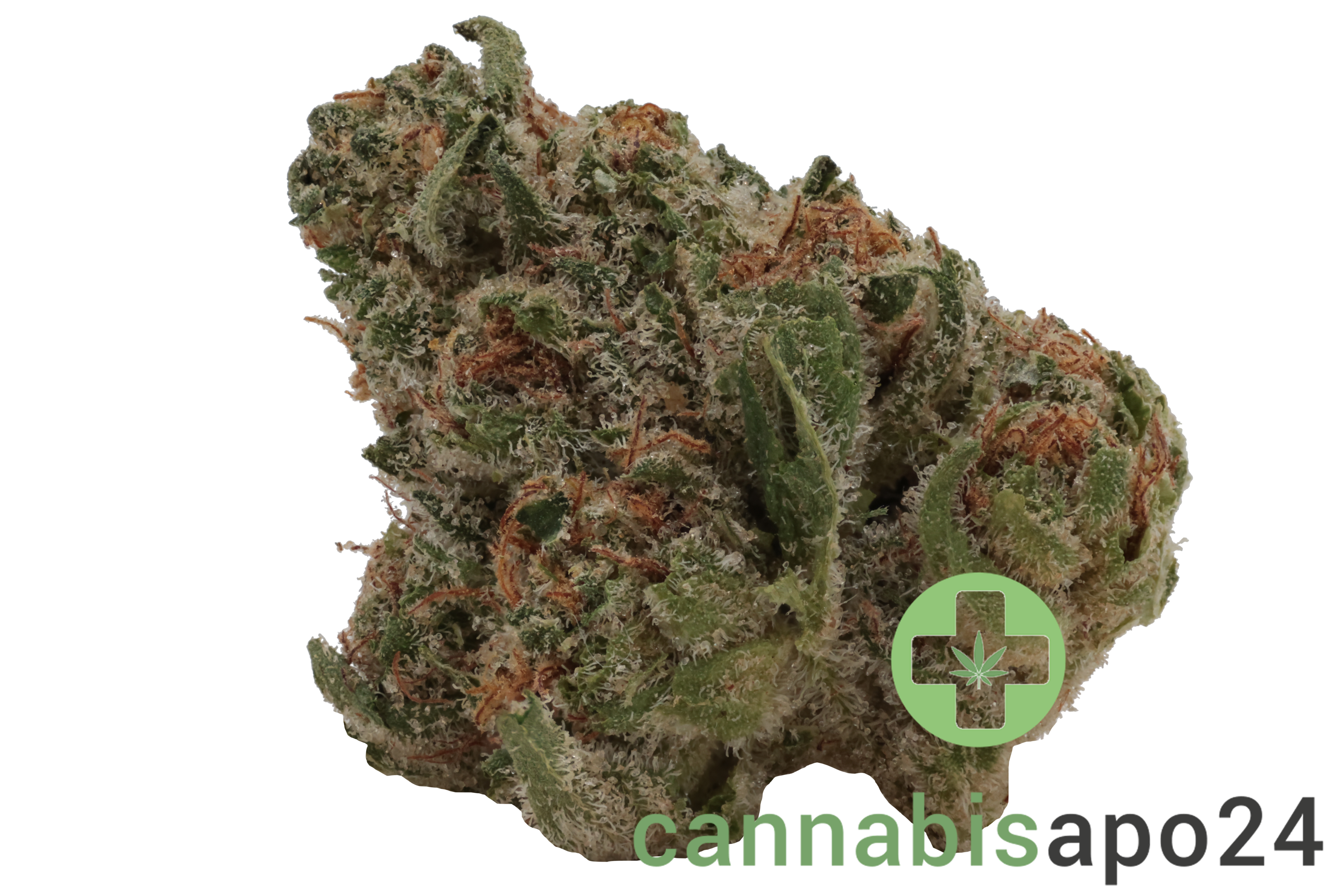 TRUU GT 25:01 Crumbled Lime 27