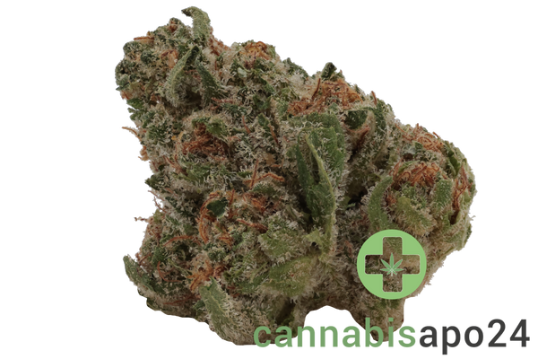 TRUU GT 25:01 Crumbled Lime 27