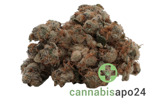 TYSON 2.0 30/1 Tiger Milk